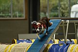 W.K. selectie hoogerheide zaterdag