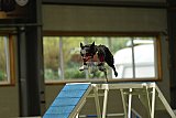 W.K. selectie hoogerheide zaterdag