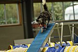W.K. selectie hoogerheide zaterdag