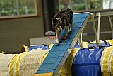 W.K. selectie hoogerheide zaterdag