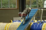 W.K. selectie hoogerheide zaterdag