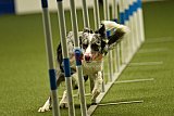 W.K. selectie hoogerheide zaterdag
