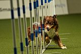 W.K. selectie hoogerheide zaterdag
