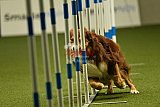 W.K. selectie hoogerheide zaterdag