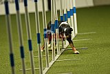 W.K. selectie hoogerheide zaterdag