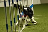 W.K. selectie hoogerheide zaterdag
