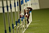 W.K. selectie hoogerheide zaterdag