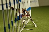 W.K. selectie hoogerheide zaterdag