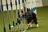 W.K. selectie hoogerheide zaterdag