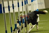 W.K. selectie hoogerheide zaterdag