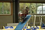 W.K. selectie hoogerheide zaterdag