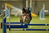W.K. selectie hoogerheide zaterdag