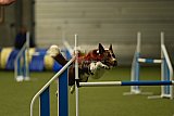 W.K. selectie wedstrijd hoogerheide zondag