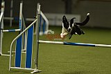 W.K. selectie wedstrijd hoogerheide zondag