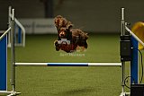 W.K. selectie wedstrijd hoogerheide zondag