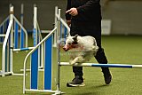 W.K. selectie wedstrijd hoogerheide zondag