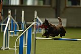 W.K. selectie wedstrijd hoogerheide zondag