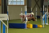 W.K. selectie wedstrijd hoogerheide zondag