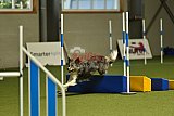 W.K. selectie wedstrijd hoogerheide zondag
