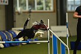W.K. selectie wedstrijd hoogerheide zondag