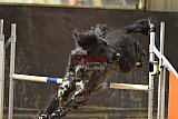 konings dag 2026  zeeland n.b