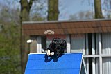 paaswedstrijd maandag