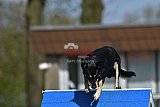 paaswedstrijd maandag