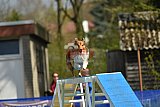 paaswedstrijd zaterdag