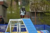 paaswedstrijd zaterdag