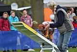 paaswedstrijd zaterdag