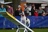 paaswedstrijd zaterdag