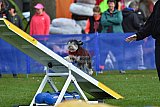 paaswedstrijd zaterdag