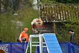 paaswedstrijd zaterdag