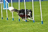 paaswedstrijd zaterdag