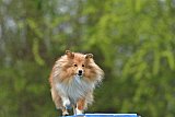paaswedstrijd zondag