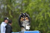 paaswedstrijd zondag
