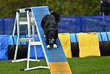 paaswedstrijd zondag