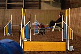 wedstrijd agility friends zaterdag