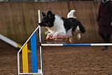 wedstrijd agility friends zaterdag