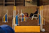 wedstrijd agility friends zaterdag