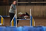 wedstrijd agility friends zaterdag