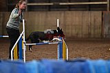 wedstrijd agility friends zaterdag