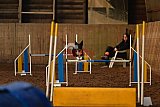 wedstrijd agility friends zaterdag