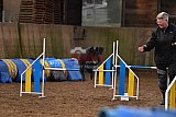 wedstrijd agility friends zaterdag