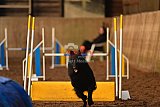 wedstrijd agility friends zaterdag