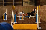 wedstrijd agility friends zaterdag