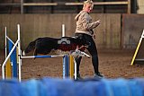 wedstrijd agility friends zaterdag