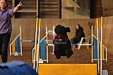 wedstrijd agility friends zaterdag