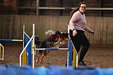 wedstrijd agility friends zaterdag