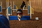wedstrijd agility friends zaterdag